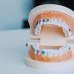 shedrack-salami-f6a2ZaBytUM-unsplash